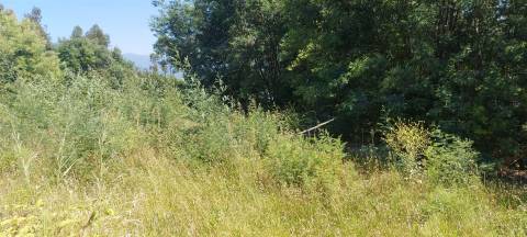 Venda judicial de lote de terreno na Zona Industrial do Alto Padrão