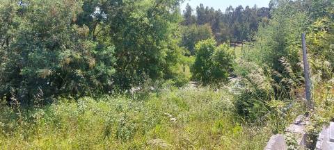 Venda judicial de lote de terreno na Zona Industrial do Alto Padrão