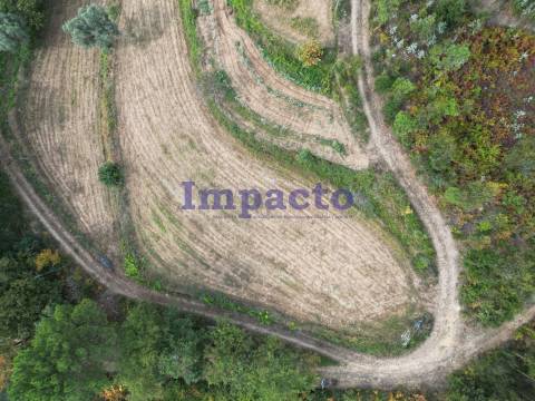 Terreno misto em Escariz, Arouca