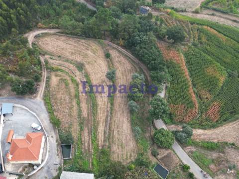 Terreno misto em Escariz, Arouca
