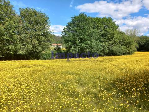 Terreno  Venda em Escariz,Arouca