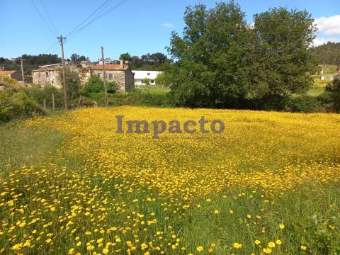 Terreno  Venda em Escariz,Arouca