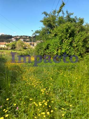 Terreno  Venda em Escariz,Arouca