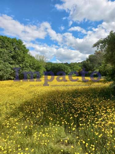 Terreno  Venda em Escariz,Arouca