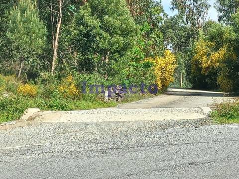 Terreno Rústico, Pinhal