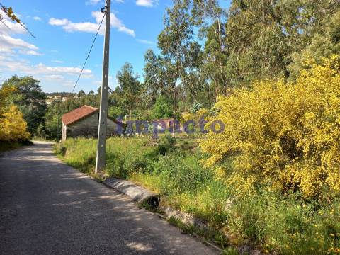 Terreno Rústico, Pinhal