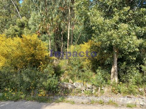 Terreno Rústico, Pinhal