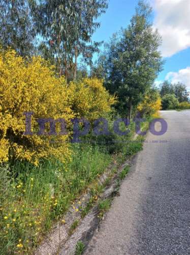 Terreno Rústico, Pinhal