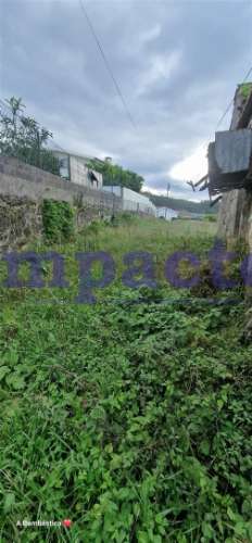 Terreno Rústico, Pinhal