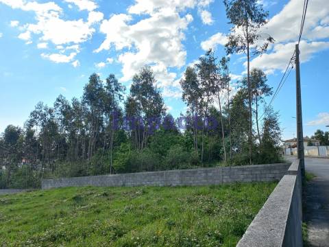 Terreno Urbano em Escariz, Arouca