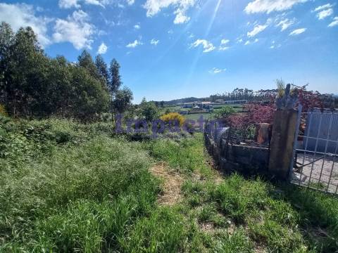 Terreno  Venda em Escariz,Arouca