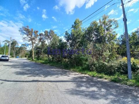 Terreno  Venda em Escariz,Arouca