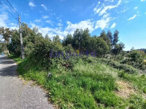 Terreno  Venda em Escariz,Arouca