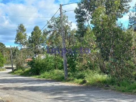 Terreno  Venda em Escariz,Arouca