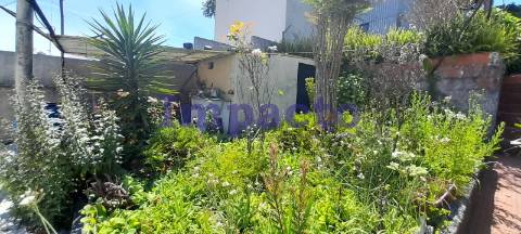 Moradia para remodelar T2 em São João da Madeira