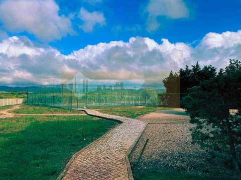 Apartamento T3 Venda em São Martinho do Porto,Alcobaça