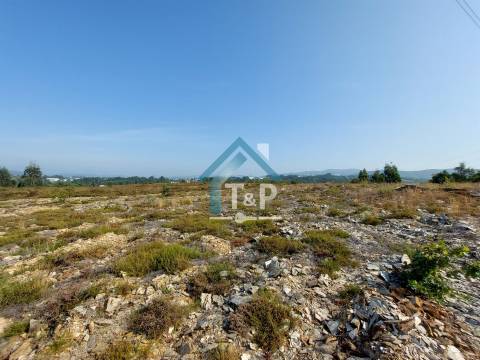 Terreno Rústico , Recarei, Paredes / Venda /   Ref. T&P/020