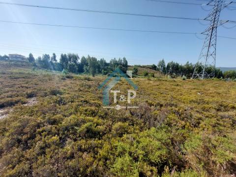 Terreno Rústico , Recarei, Paredes / Venda /   Ref. T&P/020