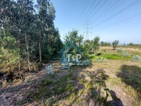 Terreno Rústico , Recarei, Paredes / Venda /   Ref. T&P/020