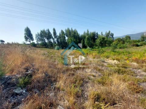 Terreno Rústico , Recarei, Paredes / Venda /   Ref. T&P/020