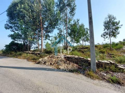 Terreno Rústico , Recarei, Paredes / Venda /   Ref. T&P/020