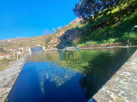 Moradia T3 Venda em São Martinho de Mouros,Resende