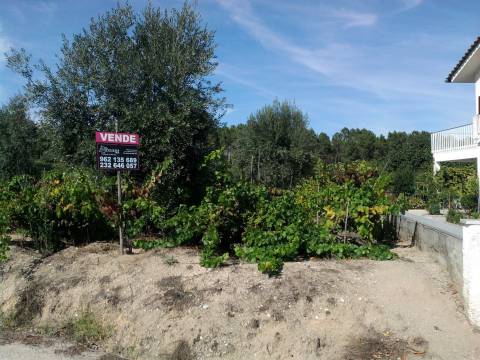 Terreno para construção em Campina, Penalva do Castelo