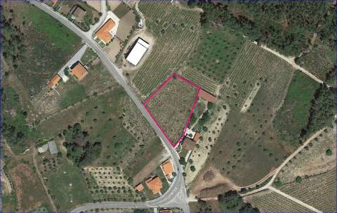 Terreno para construção em Campina, Penalva do Castelo