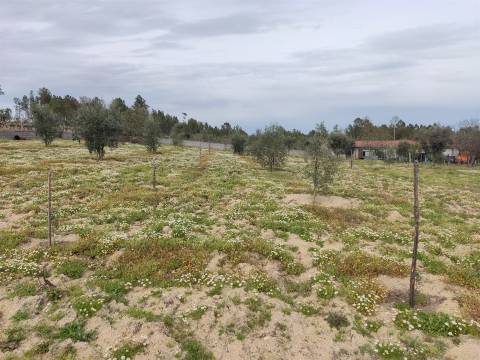 Terreno para construção em Campina, Penalva do Castelo