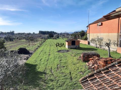 Moradia para Recuperar em Lajeosa do Dão