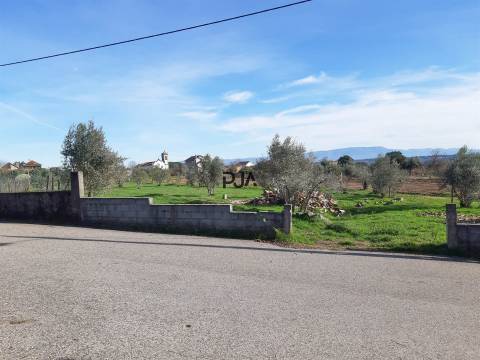 Moradia para Recuperar em Lajeosa do Dão