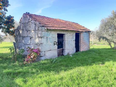 Moradia para Recuperar em Lajeosa do Dão