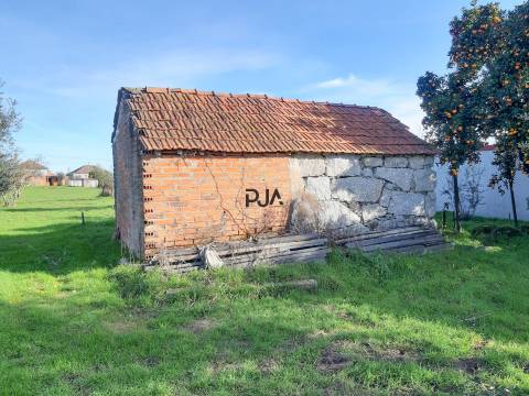 Moradia para Recuperar em Lajeosa do Dão