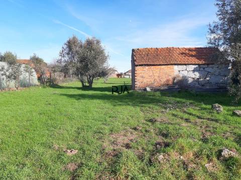 Moradia para Recuperar em Lajeosa do Dão