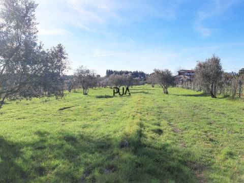 Moradia para Recuperar em Lajeosa do Dão