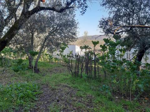 Moradia V2 para Restaurar, Aldeia da Mata