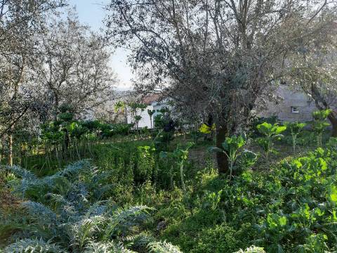 Moradia V2 para Restaurar, Aldeia da Mata