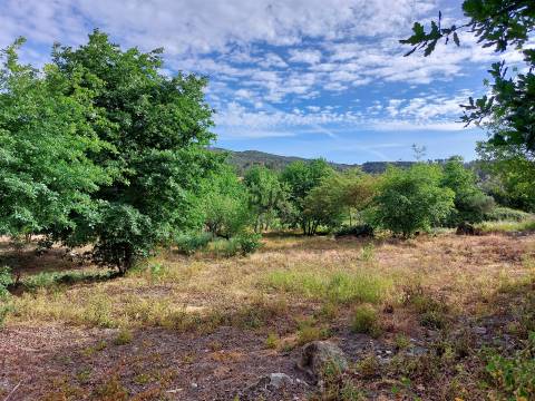 Terreno para construção em Tabosa