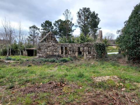 Quinta com 2ha em Fornos de Algodres