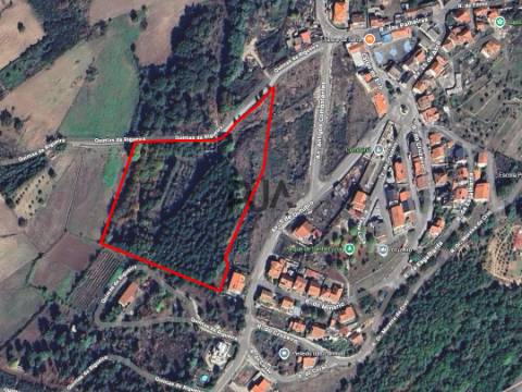 Quinta com 2ha em Fornos de Algodres