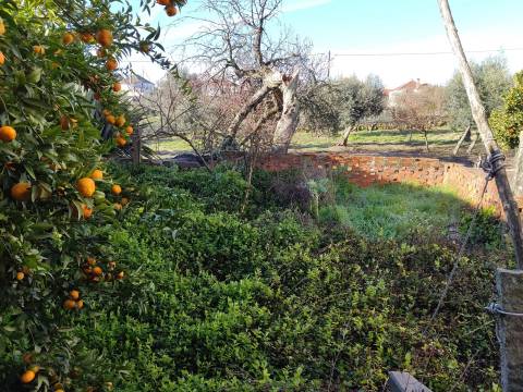 Moradia Devoluta T3 Venda em Sezures,Penalva do Castelo