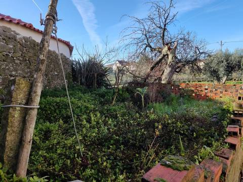 Moradia Devoluta T3 Venda em Sezures,Penalva do Castelo