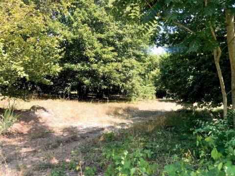 Terreno para construção de prédio, centro da cidade de Mangualde