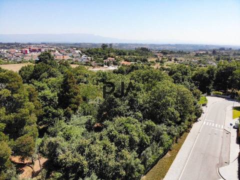 Terreno para construção de prédio, centro da cidade de Mangualde