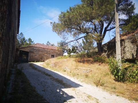 Quinta Agrícola em Campina, Penalva do Castelo