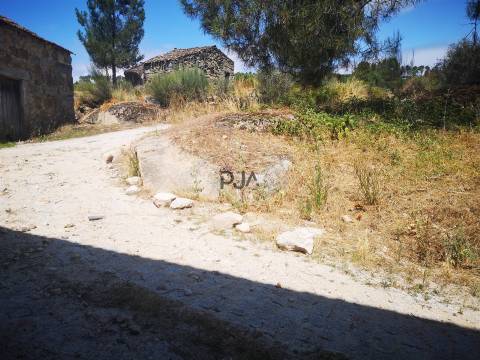 Quinta Agrícola em Campina, Penalva do Castelo