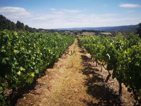 Quinta Agrícola em Campina, Penalva do Castelo