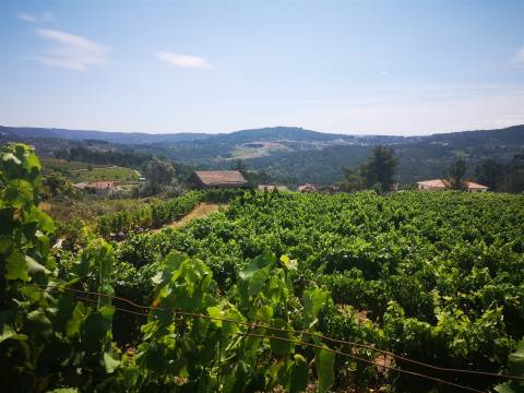 Quinta Agrícola em Campina, Penalva do Castelo
