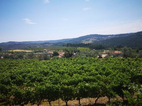 Quinta Agrícola em Campina, Penalva do Castelo