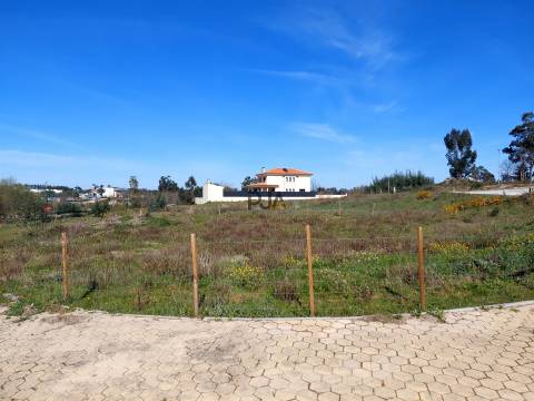 Lotes para Construção em Mangualde